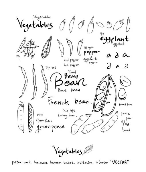 Ingredientes Alimentares Desenhados Mão Ilustrações Vegetais Frutos Vector — Vetor de Stock