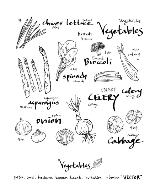 Ingredientes Alimentares Desenhados Mão Ilustrações Vegetais Frutos Vector — Vetor de Stock