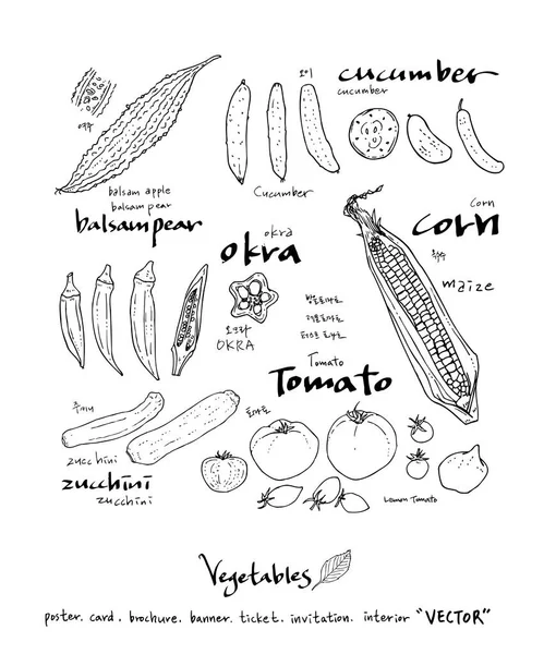 Ingredientes Alimentarios Extraídos Mano Ilustraciones Vegetales Frutales Vector — Vector de stock