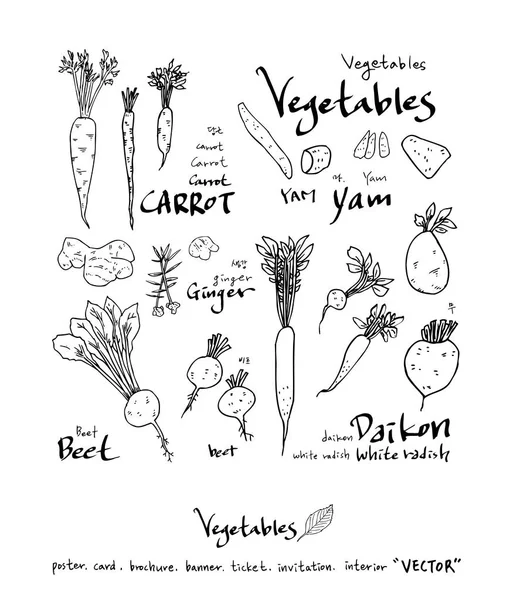 Ingredientes Alimentarios Extraídos Mano Ilustraciones Vegetales Frutales Vector — Archivo Imágenes Vectoriales