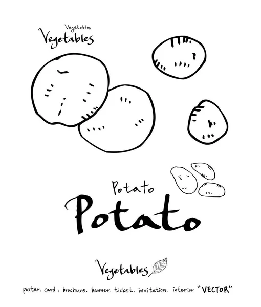 Ilustrações Legumes Frutas Ingredientes Alimentares Desenhados Mão Vector — Vetor de Stock