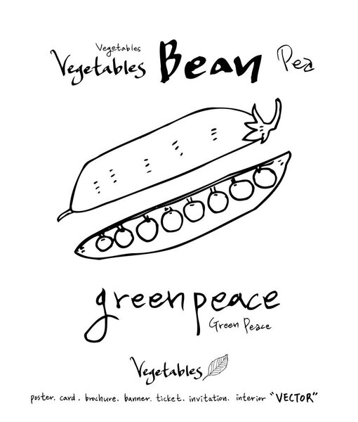 Овощные и фруктовые иллюстрации / Ингредиенты для рисования вручную - вектор
