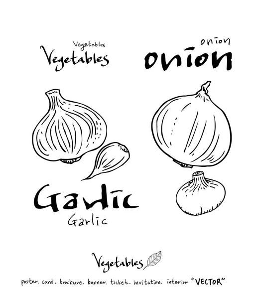 Ilustraciones Verduras Frutas Ingredientes Alimentarios Extraídos Mano Vector — Vector de stock