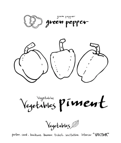 Ilustrações Legumes Frutas Ingredientes Alimentares Desenhados Mão Vector — Vetor de Stock