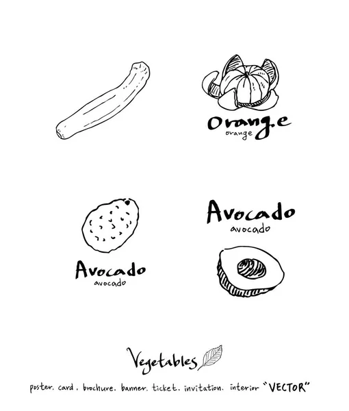 Ingredienti Alimentari Disegnati Mano Illustrazioni Frutta Verdura Vettore — Vettoriale Stock