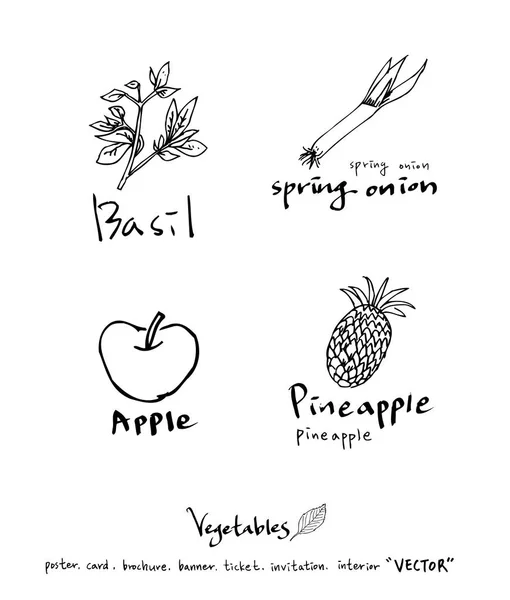 Ingredienti Alimentari Disegnati Mano Illustrazioni Frutta Verdura Vettore — Vettoriale Stock