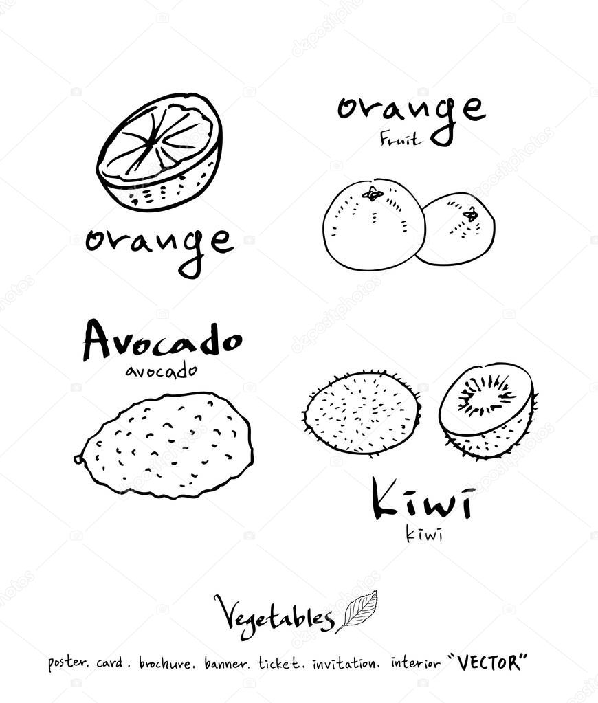 Hand drawn food ingredients - vegetable and fruit illustrations - vector