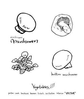 El çekilmiş gıda maddeleri - sebze ve meyve resimleri - vektör