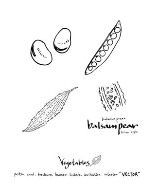 El çekilmiş gıda maddeleri - sebze ve meyve resimleri - vektör