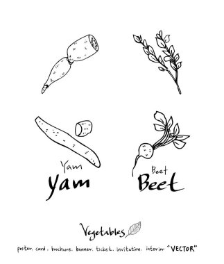 El çekilmiş gıda maddeleri - sebze ve meyve resimleri - vektör