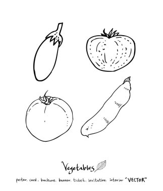 El çekilmiş gıda maddeleri - sebze ve meyve resimleri - vektör