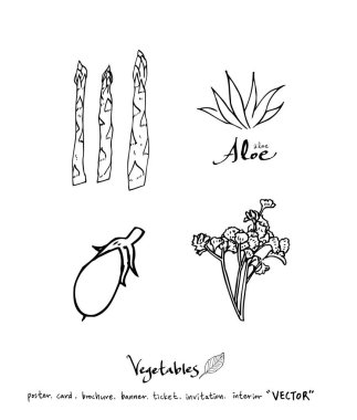 El çekilmiş gıda maddeleri - sebze ve meyve resimleri - vektör