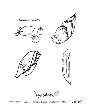 El çekilmiş gıda maddeleri - sebze ve meyve resimleri - vektör