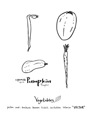 El çekilmiş gıda maddeleri - sebze ve meyve resimleri - vektör