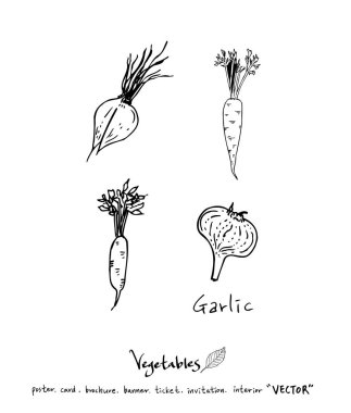 El çekilmiş gıda maddeleri - sebze ve meyve resimleri - vektör