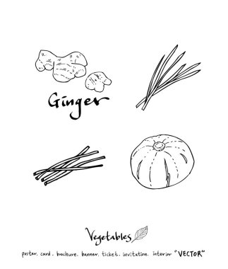 El çekilmiş gıda maddeleri - sebze ve meyve resimleri - vektör