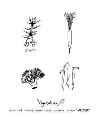 El çekilmiş gıda maddeleri - sebze ve meyve resimleri - vektör