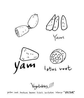 El çekilmiş gıda maddeleri - sebze ve meyve resimleri - vektör