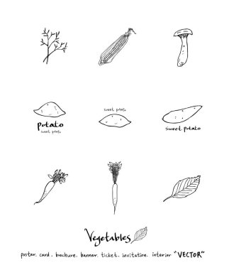 El çekilmiş gıda maddeleri - sebze ve meyve resimleri - vektör