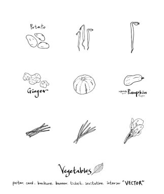 El çekilmiş gıda maddeleri - sebze ve meyve resimleri - vektör