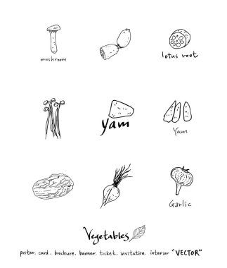 El çekilmiş gıda maddeleri - sebze ve meyve resimleri - vektör