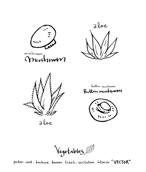 Ingredientes Alimentares Desenhados Mão Ilustrações Vegetais Frutos Vector — Vetor de Stock