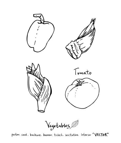 Ingrédients Alimentaires Dessinés Main Illustrations Légumes Fruits Vecteur — Image vectorielle