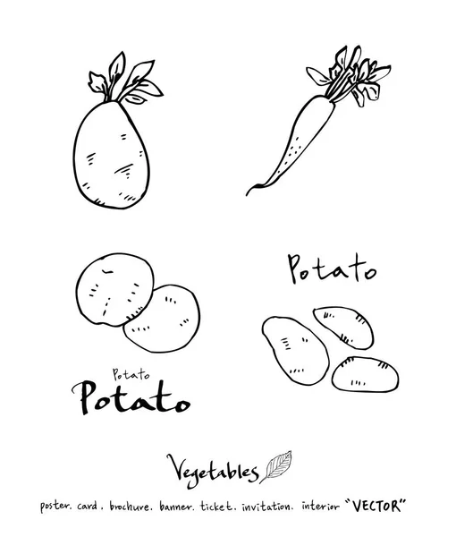 Ingrédients Alimentaires Dessinés Main Illustrations Légumes Fruits Vecteur — Image vectorielle
