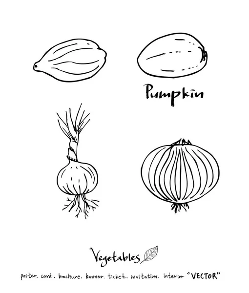 Hand Drawn Food Ingredients Vegetable Fruit Illustrations Vector — Stock Vector