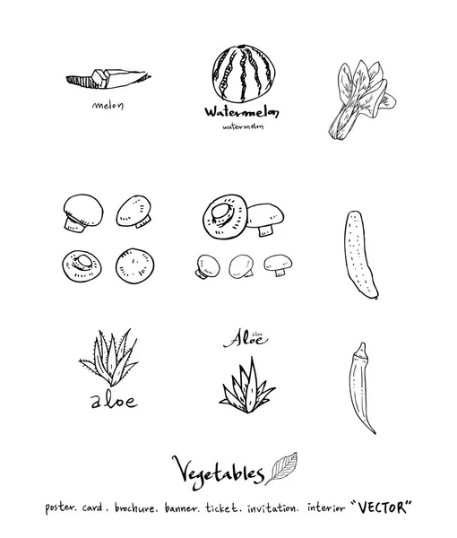 Ingredientes Alimentarios Extraídos Mano Ilustraciones Vegetales Frutales Vector — Vector de stock