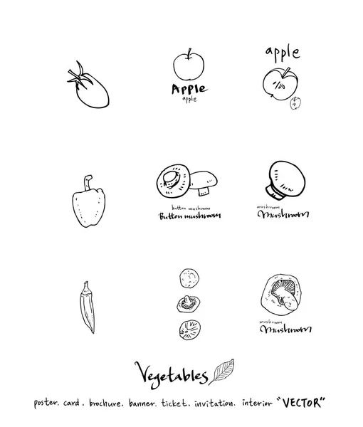 Ingredientes Alimentares Desenhados Mão Ilustrações Vegetais Frutos Vector — Vetor de Stock