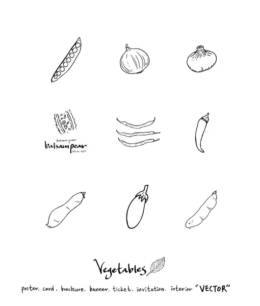 Ingredienti Alimentari Disegnati Mano Illustrazioni Frutta Verdura Vettore — Vettoriale Stock