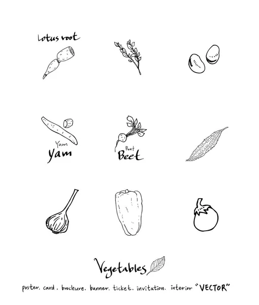 Ingredientes Alimentarios Extraídos Mano Ilustraciones Vegetales Frutales Vector — Vector de stock