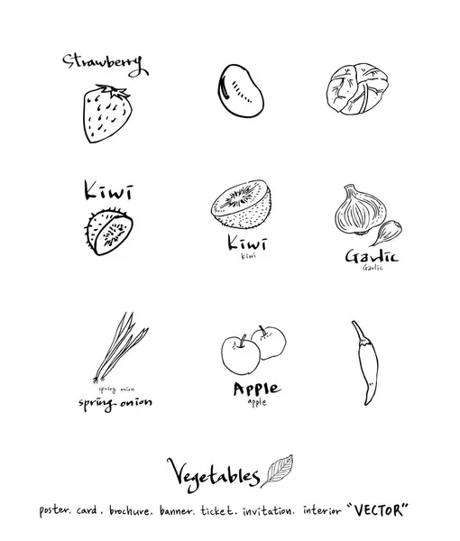 Ingredientes Alimentarios Extraídos Mano Ilustraciones Vegetales Frutales Vector — Vector de stock