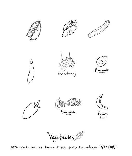 Ingredientes Alimentarios Extraídos Mano Ilustraciones Vegetales Frutales Vector — Vector de stock