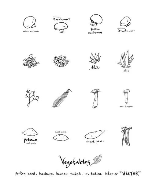 Hand Drawn Food Ingredients Vegetable Fruit Illustrations Vector — Stock Vector