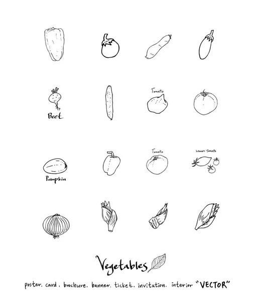 Ingredienti Alimentari Disegnati Mano Illustrazioni Frutta Verdura Vettore — Vettoriale Stock