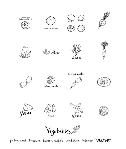 Ingredientes Alimentarios Extraídos Mano Ilustraciones Vegetales Frutales Vector — Archivo Imágenes Vectoriales