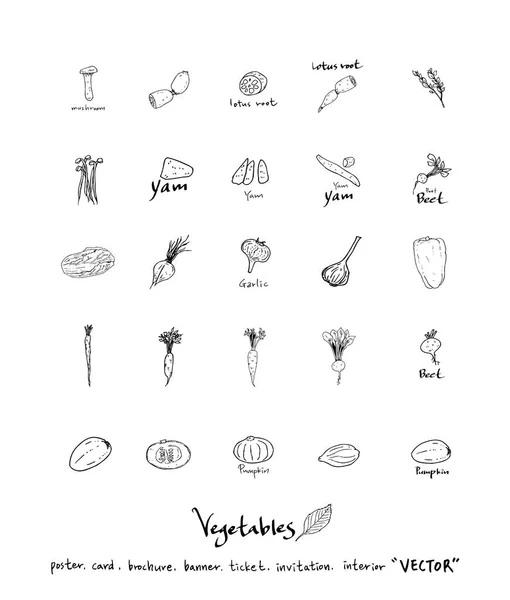 Ingredientes Alimentarios Extraídos Mano Ilustraciones Vegetales Frutales Vector — Vector de stock