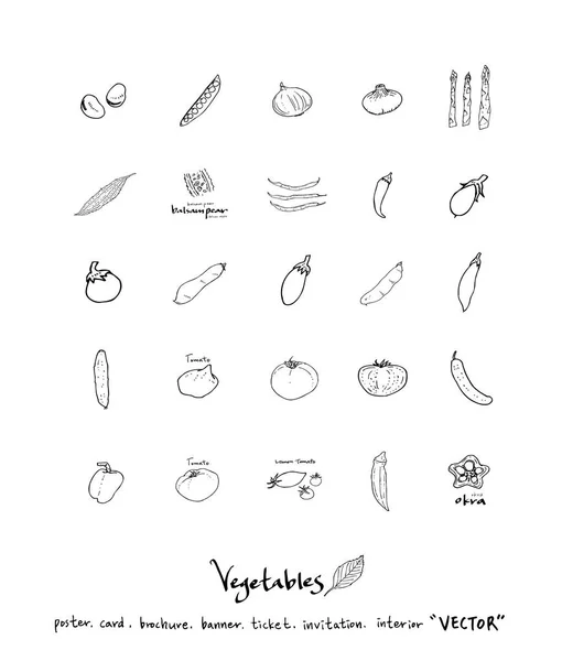Hand Getekende Voedsel Ingrediënten Groente Fruitsector Illustraties Vector — Stockvector