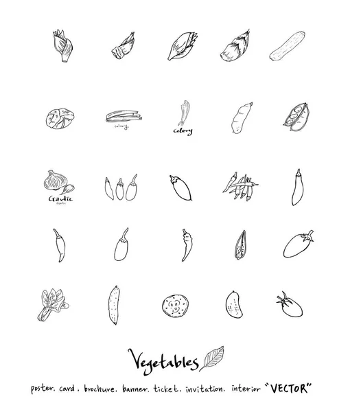 Hand Getekende Voedsel Ingrediënten Groente Fruitsector Illustraties Vector — Stockvector