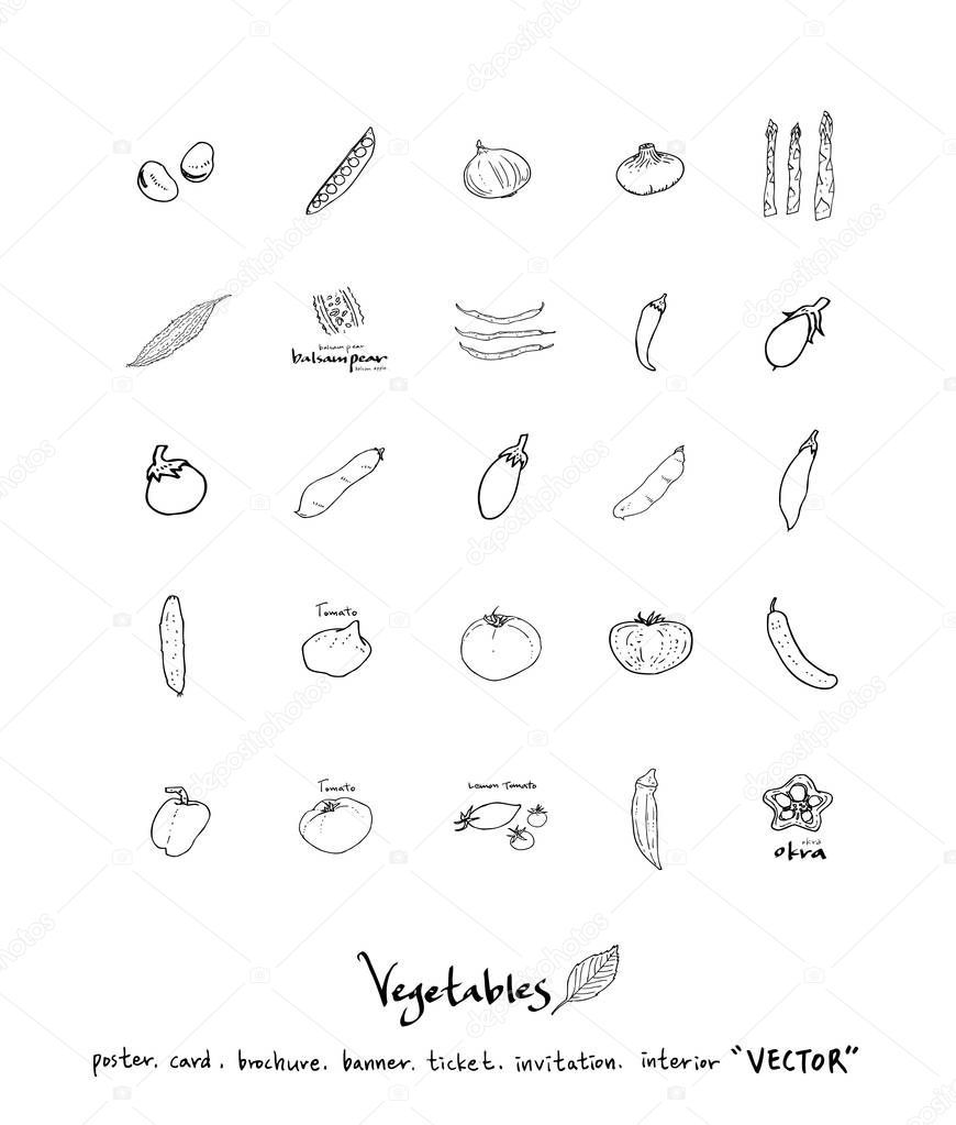 Hand drawn food ingredients - vegetable and fruit illustrations - vector