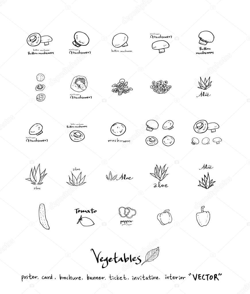 Hand drawn food ingredients - vegetable and fruit illustrations - vector