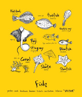 Deniz gıda menü çizimler / el çekilmiş gıda maddeleri - vektör