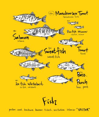 Deniz gıda menü çizimler / el çekilmiş gıda maddeleri - vektör