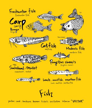 Deniz gıda menü çizimler / el çekilmiş gıda maddeleri - vektör