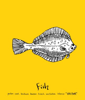 Deniz gıda menü çizimler / el çekilmiş gıda maddeleri - vektör