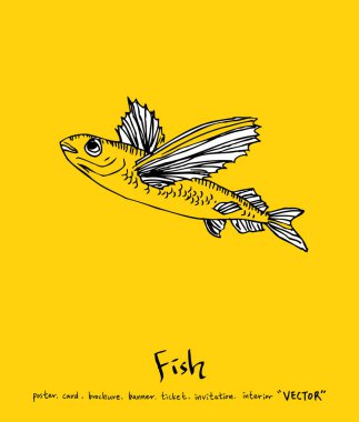 Deniz gıda menü çizimler / el çekilmiş gıda maddeleri - vektör