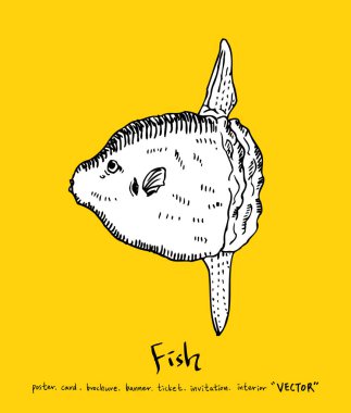 Deniz gıda menü çizimler / el çekilmiş gıda maddeleri - vektör