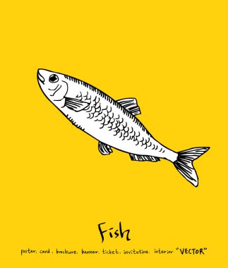 Deniz gıda menü çizimler / el çekilmiş gıda maddeleri - vektör